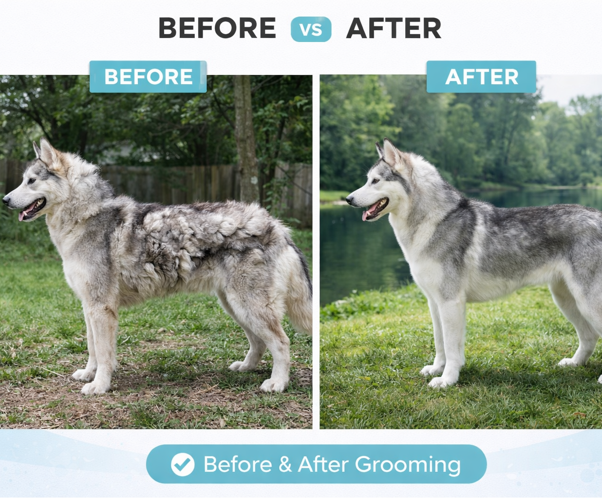 PawlyHome™ Pro Pet Grooming Kit